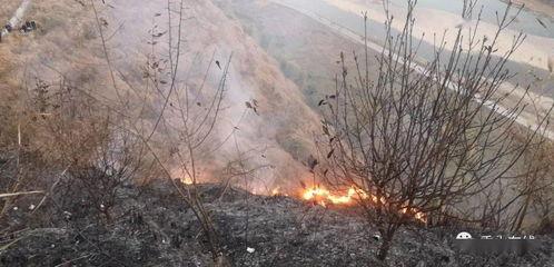 狮子山爆料视频最新版本,独家内幕大曝光！  第2张